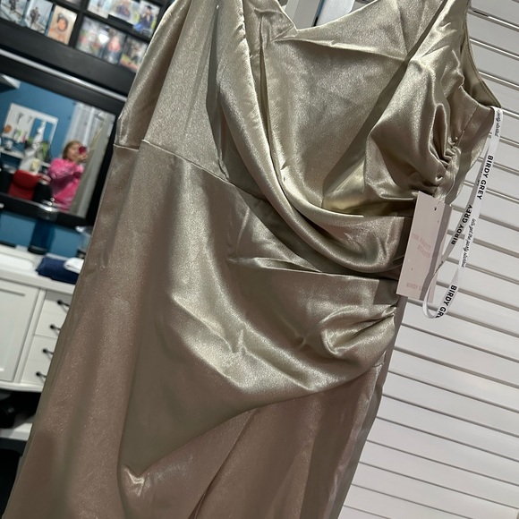 Birdy Grey Champagne Dress - Picture 12 of 15